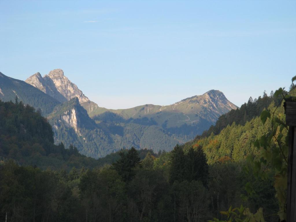 Alpenhotel Allgaeu 호헨슈반가우 외부 사진